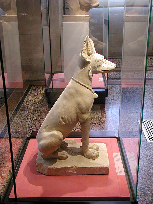 Статуя собаки. Музей в Лувре
