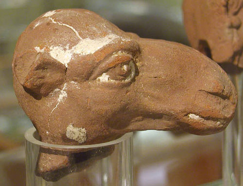 Керамическая голова верблюда. Музей Петри